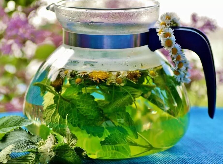 Infusion der Sammlung von Kräutern in Krampfadern